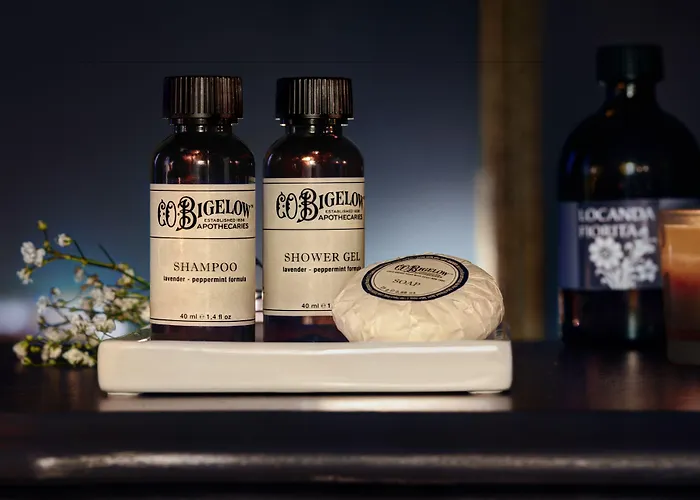 酒店 拉卡达菲奥瑞塔酒店 *